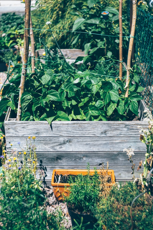 DIY Raised Beds: Building Sustainable Garden Beds from Recycled Materials