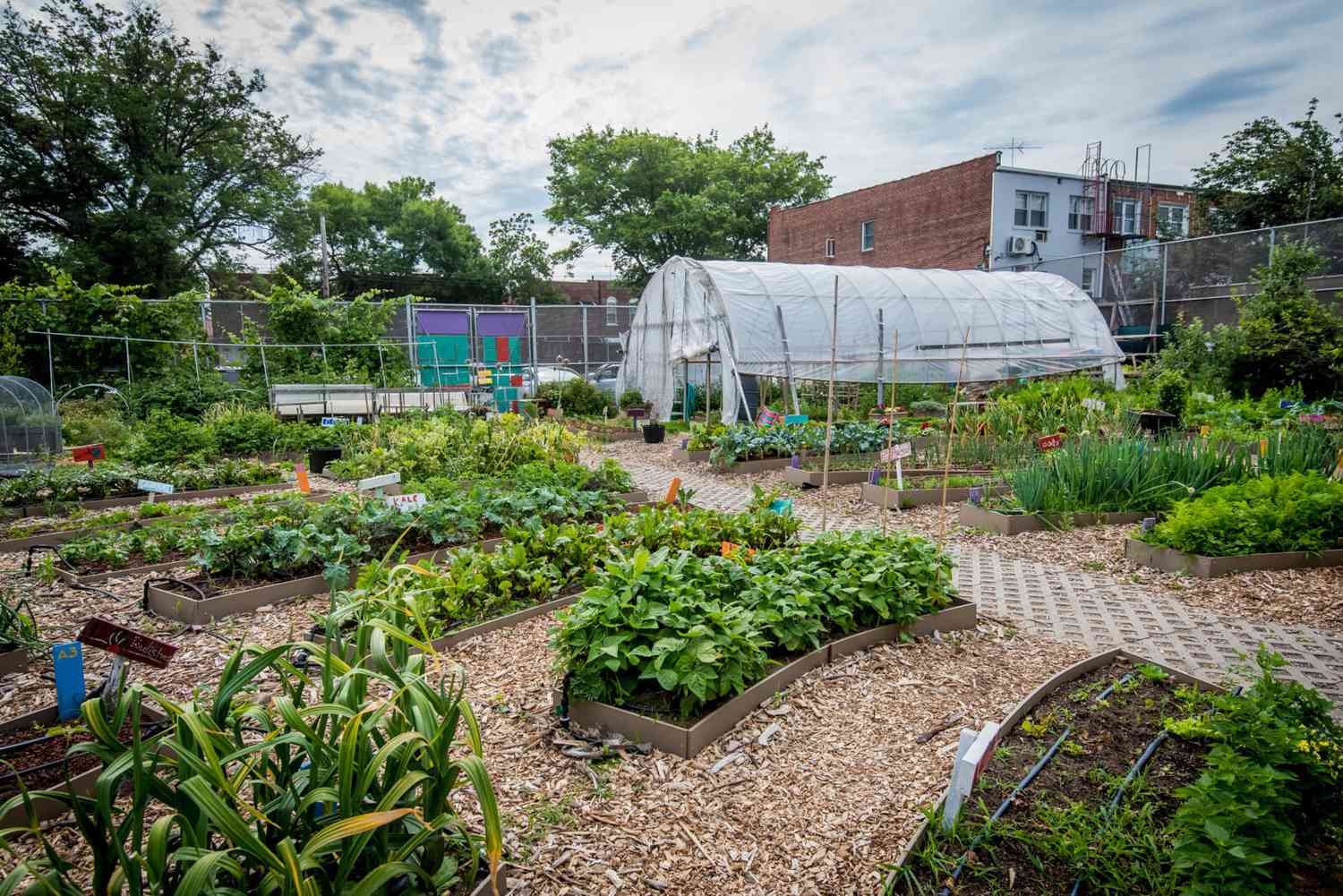 Urban Gardening 101: Cultivating Abundance in Small Spaces