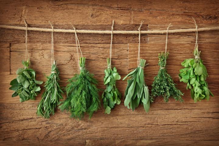 Drying 101: A Guide to Preserving Herbs, Fruits, and Vegetables for Long-Term Storage